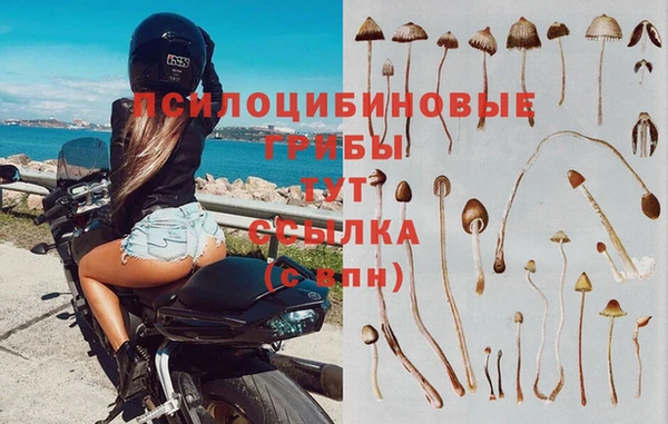 твердый Гусев