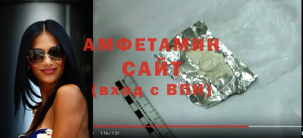 твердый Гусев