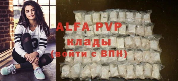 твердый Гусев