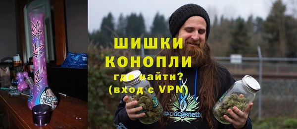 твердый Гусев