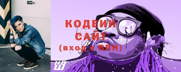 твердый Гусев