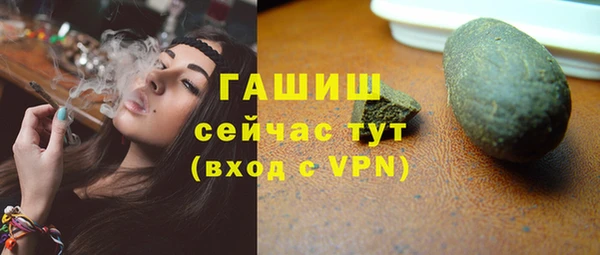 твердый Гусев