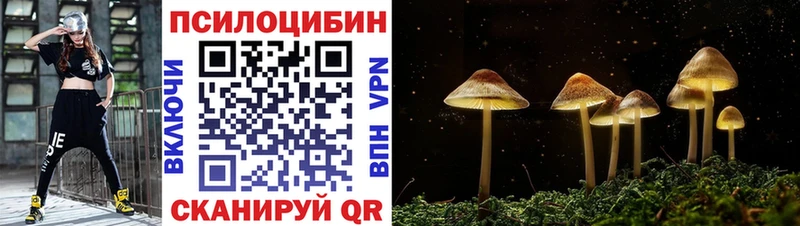Галлюциногенные грибы Psilocybine cubensis  купить наркотики сайты  KRAKEN зеркало  Можга 
